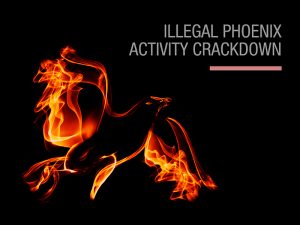 Illegal phoenix activity - new crackdowns announced!