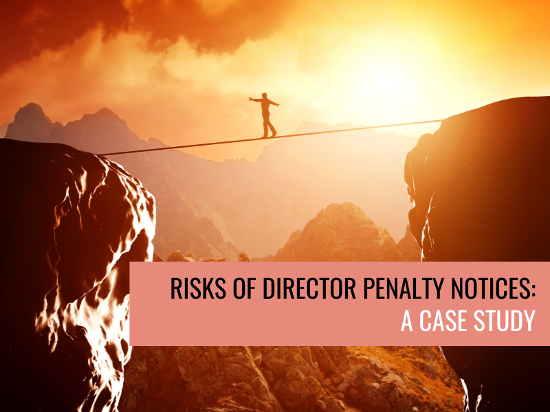 Risks of Director Penalty Notices: A Case Study